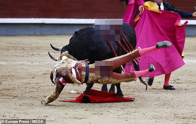 A video captured the horrific moment the matador is impaled by one of the beast's huge horns before being thrown into the air like a rag doll