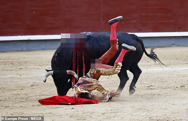 The young man is then twisted into a somersault before falling to the ground and curling up into a ball to protect himself.