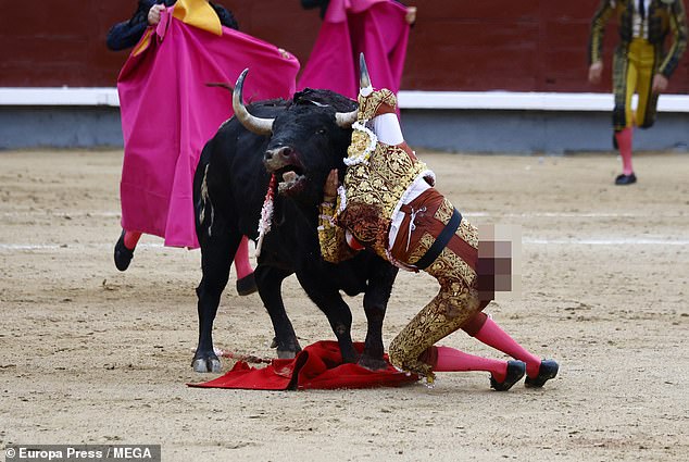 The beaten and bruised young man is able to stagger to his feet and leave the Las Ventas arena, leaning on helpers for support.