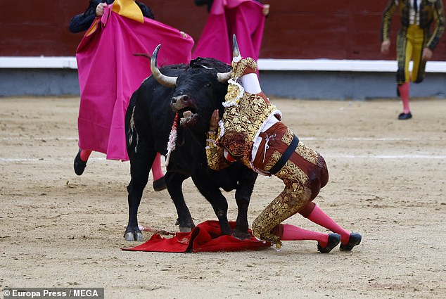 The event was the bullfighter's first bull of the sixth bullfight of the Autumn Fair, which was held this afternoon