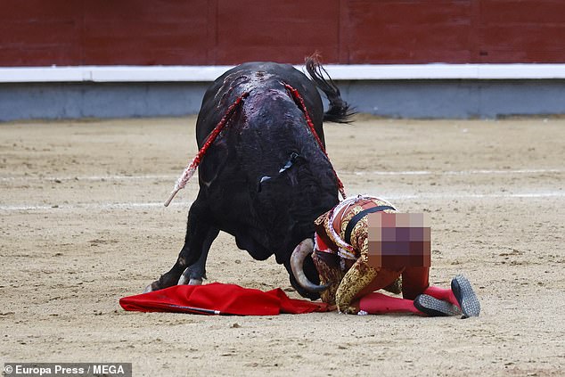 Bystanders rushed in to help the young man and distract the animal as he lay in a crumpled heap on the ground