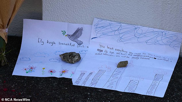 One letter reads 'fly high beautiful girl' and was accompanied by a hand-drawn dove (photo)