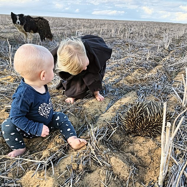 Ms Grove said animal activists she saw online seemed to hate farmers, but she was just a mother with two children (pictured)