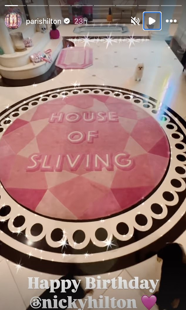 The images highlighted the extravagant décor of the party, complete with elegant balloon displays and a custom-made floor decorated with 'House of Sliving', a playful reference to Paris's latest favorite slogan