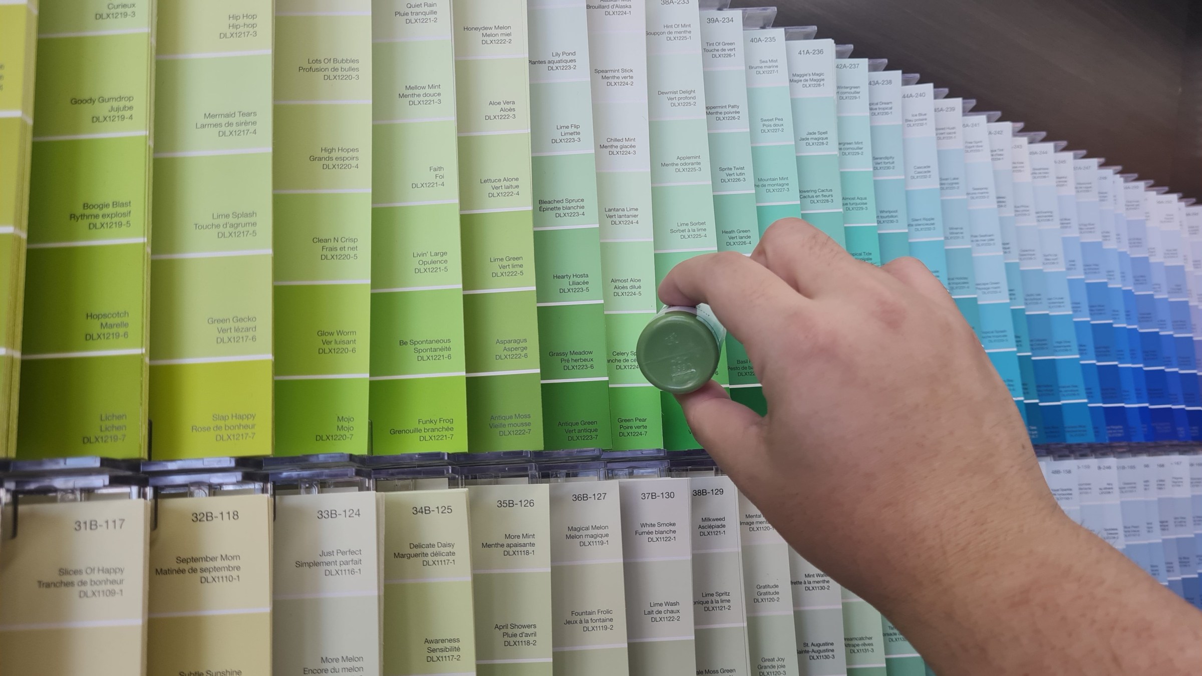 A photo of a hand holding up a small container of green paint in front of a huge row of paint samples in different shades of green