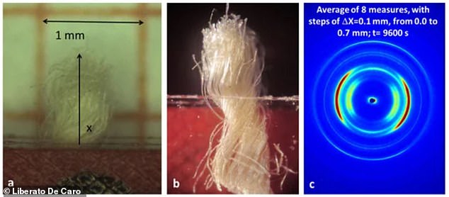 The scientists obtained small samples of the Shroud of Turin (left) and exposed them to wide-angle X-rays to create an image of the linen sample (right) used for the dating.