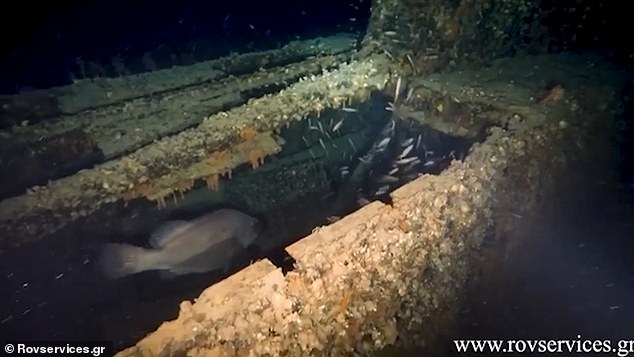 Creepy photos show fish circling the barnacle-covered wreck of the submarine