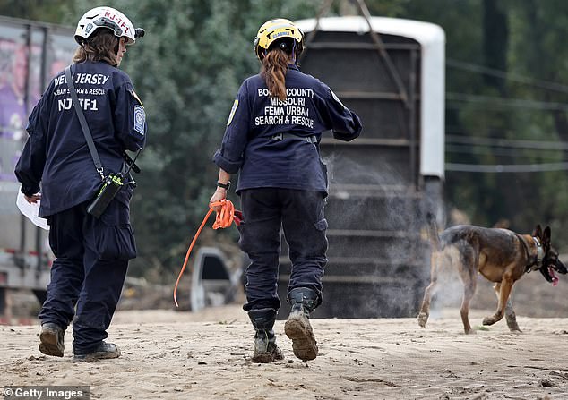 Members of the FEMA Urban Search and Rescue Task Force use a search dog to search a flood-damaged area in the aftermath of Hurricane Helene along the Swannanoa River on October 4, 2024 in Asheville, North Carolina