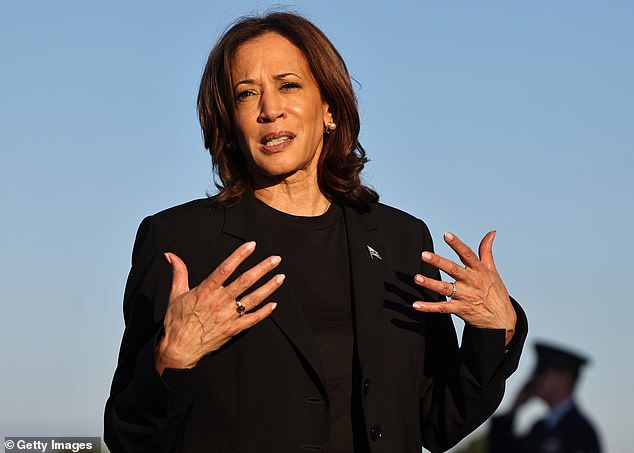 Vance also tore into Vice President Kamala Harris' leadership during the disaster response