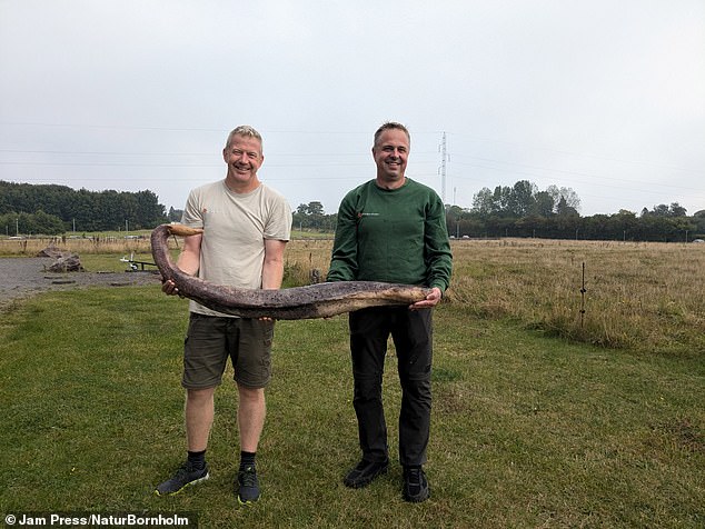 Beach cleaners René Vilsholm, Morten Gebhardt and Kenneth Nielsen had collected trash from their local beach. In the photo Gebhardt and Nielsen with their find