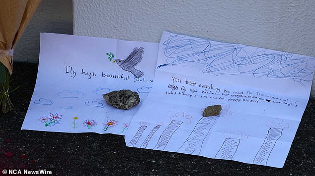 A letter saying 'fly high beautiful girl' was accompanied by a hand-drawn dove (photo)