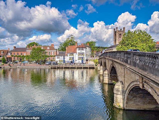 Ninety percent of England's major salmon rivers are classified as 'at risk' or 'likely threatened' (file photo)