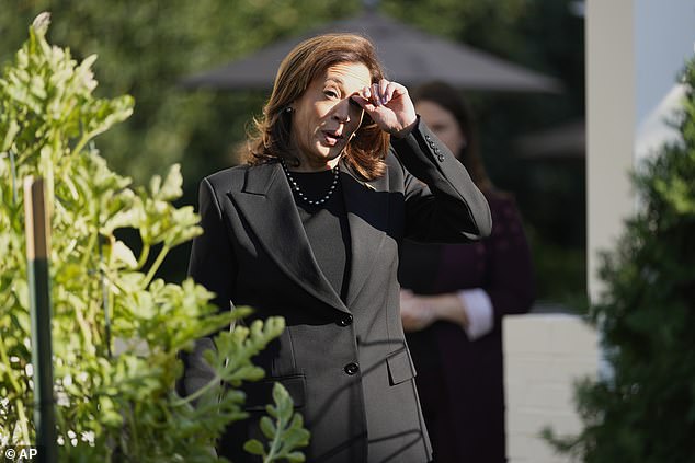 Kamala Harris speaks to reporters and vows to 'always make sure Israel gets what it needs'