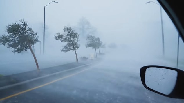 In the footage, trees are blown down by monstrous hurricane winds