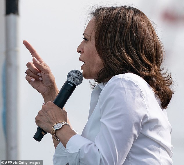 Harris is known to own three Cartier watches, including the $16,500 steel and gold Ballon Bleu timepiece in which she has been repeatedly photographed (pictured in 2019)