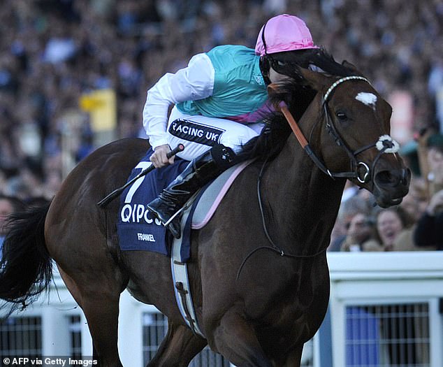 His company's releases include three offspring of the undefeated legendary horse Frankel