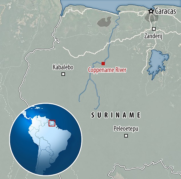 During this incredible journey, the team traveled 600 kilometers along the Coppename River in Suriname