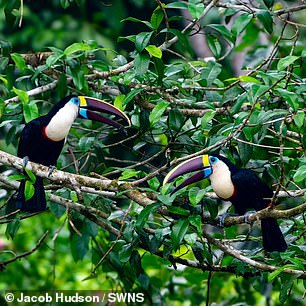 During the expedition, the group encountered several animals