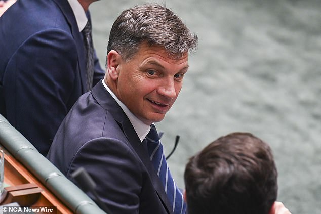 Mr Albanese delivered a long-winded parliamentary tirade after Shadow Treasurer Angus Taylor (pictured) asked him whether Labor had plans to tax owners' properties.