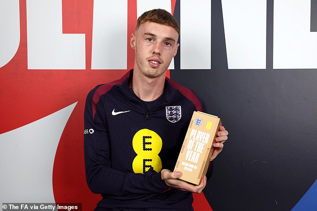 Palmer was named England senior men's player of the year at St George's Park on Monday