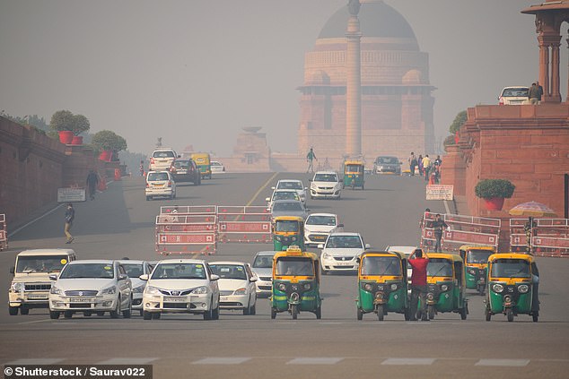 Delhi's Ganga Ram Hospital initially refused in December 2020 to release the man's frozen sperm stored in a fertility lab (file photo from Dehli, India)