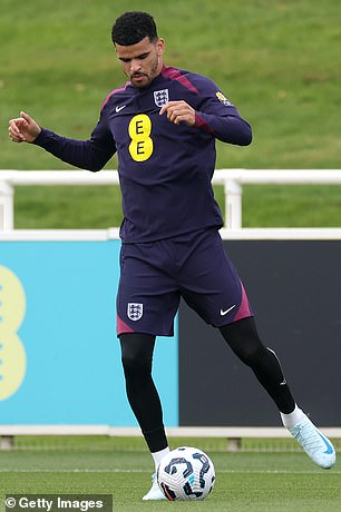 Dominic Solanke is back in the England squad after a seven-year absence