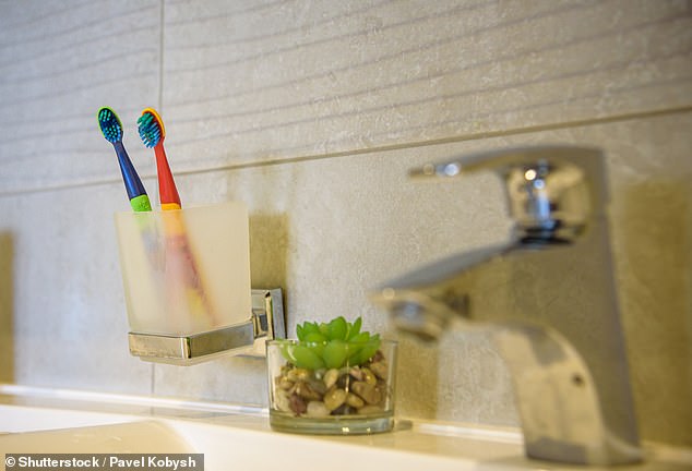 The researchers say the watery environment of your toothbrush provides a perfect breeding ground for microbes (stock image)