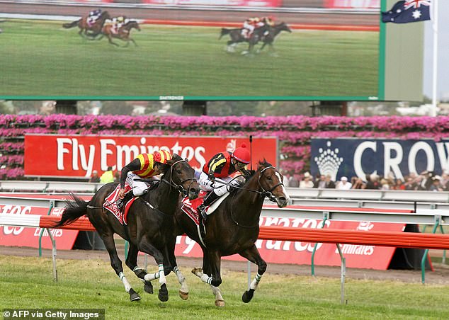 It was also the last competitive race Delta Blues (right) won, with the horse conquering a total of six races during his glittering career