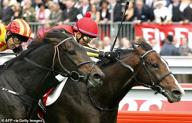 The Victoria Racing Club and its chairman paid tribute to the horse (right) in a statement