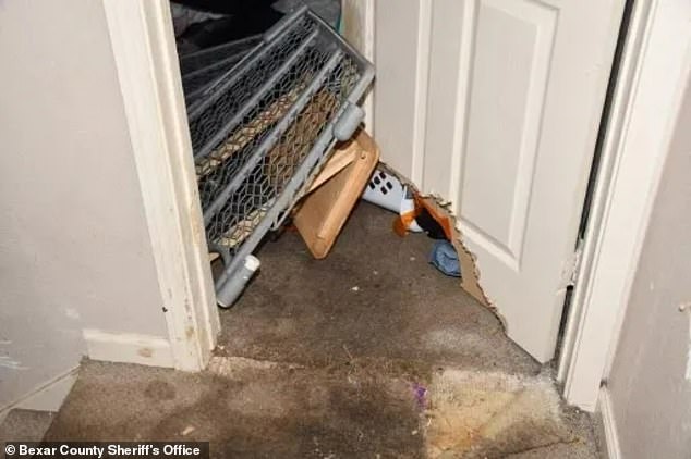 The pit bulls broke through the door of the room where the girl and baby were