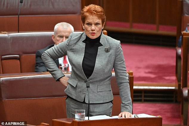 Pauline Hanson wrote a letter to the Prime Minister, expressing her concerns about Senator Fatima Payman's foreign citizenship