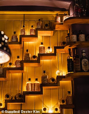 The shelves are filled with a collection of rare agave spirits from Mexico