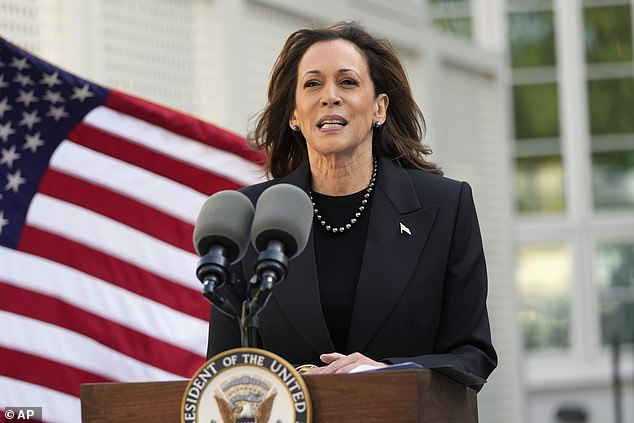 Kamala Harris' economic plans focus on helping the middle class