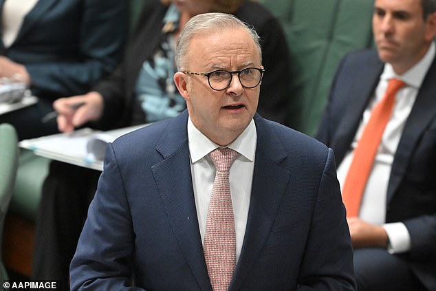 Prime Minister Anthony Albanese is pictured in the House of Representatives on Tuesday