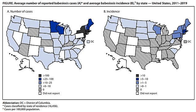 The map above shows states in the US that have reported cases of babesiosis and the prevalence of the disease. The disease is endemic in states in the Northeast, Midwest and West, and has also been observed in the South