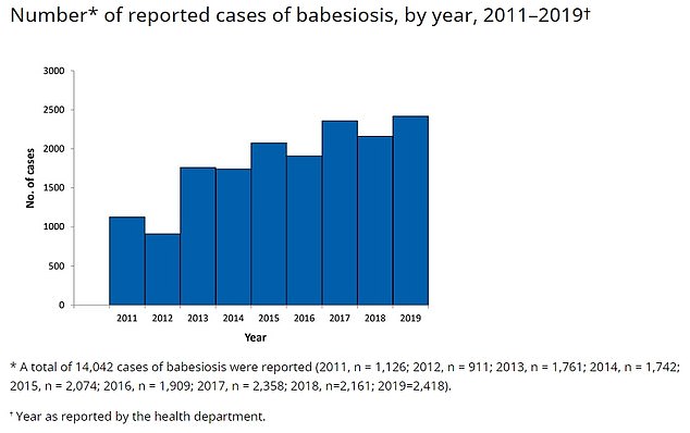 This graph, provided by the CDC, shows how many cases of babesiosis are recorded in the US each year. While there were just over 1,000 cases in 2011, this has now grown to 2,500