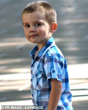 William Tyrrell (above) has been missing for a decade in what has become Australia's most high-profile case