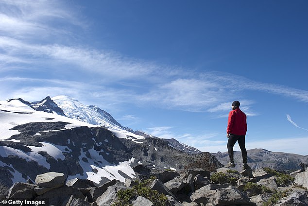 About 40 percent of Washington's mountain peaks have lost volume since 1984