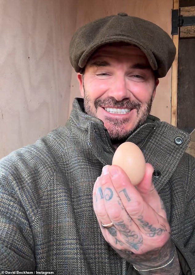 He collected his first egg from the hens in March, after traveling to their Cotswolds home to check on his flock