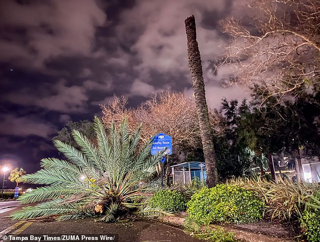 Incredible Photos Show Florida Skies Turning PURPLE Before Catastrophic ...