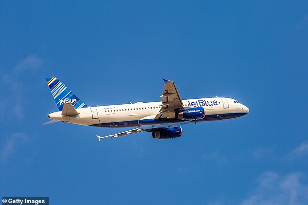 She complained about her $15 refund for a defective TV set during a six-hour flight; an Airbus A320 for JetBlue is pictured over New York City in 2013