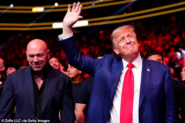 Trump often sits next to White next to the octagon when he attends UFC events