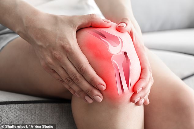 Creaky knees, also called knee crepitus, is the audible crackling or grinding sound during knee movements