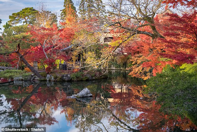 A psychotherapist and an astrologer discussed the theory and agreed there are many reasons why October is so inspiring