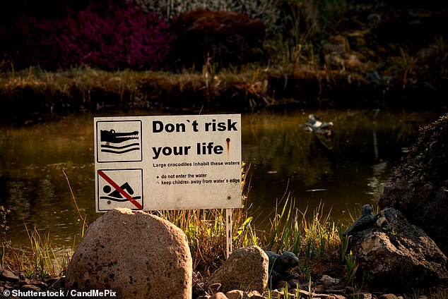 1728633321 825 Young Aussies called out for stupid act just metres from