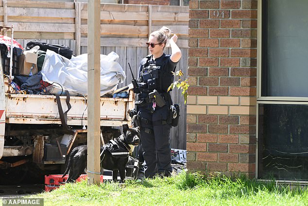 Police tried to break up the attack by using capsicum spray, but the dogs continued to maul Ms Garrett, in her twenties, and had to be shot dead (photo: police on scene)