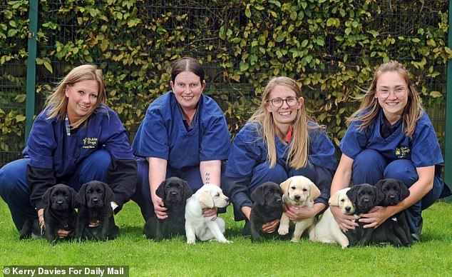 Guide Dog National Center staff Ruth, Karin, Eleanor and Emily are pictured with the nine puppies