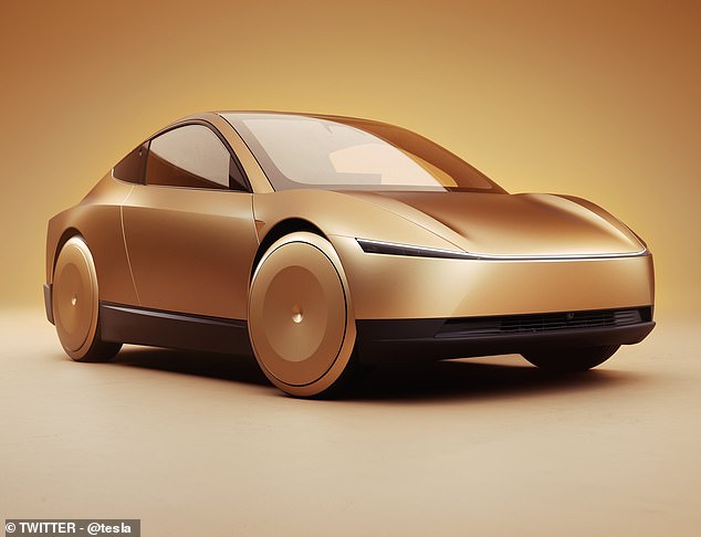 The new Tesla Robotaxi is expected to cost less than $30,000 (£23,000) and run just 20 cents (15p) per kilometer