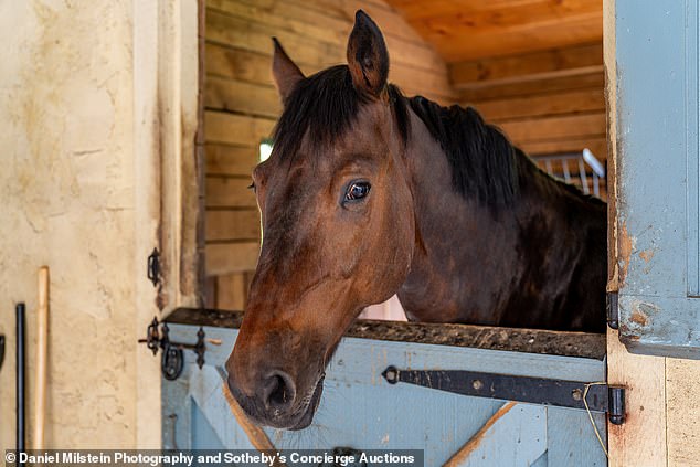 The horses will also live in luxury on this Connecticut estate