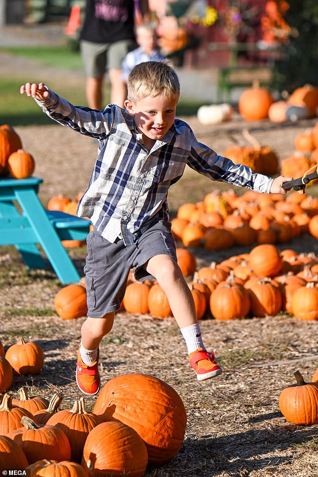 Gunner and his brother had fun running through the field and jumping over pumpkins while hunting for the perfect one to take home to carve